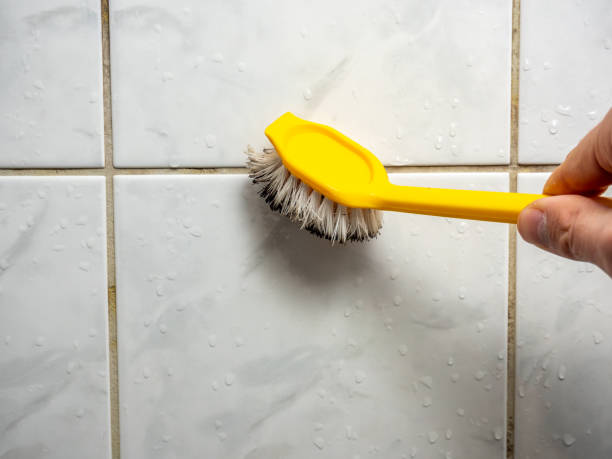Professional Mold Remediation in Elgin, IL